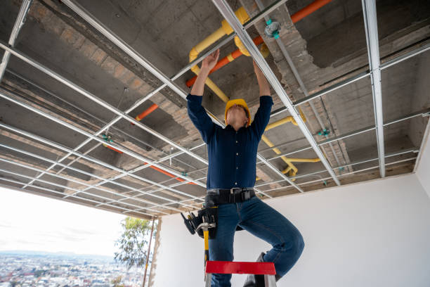 Best Local Plumber Services  in Hammond, IN