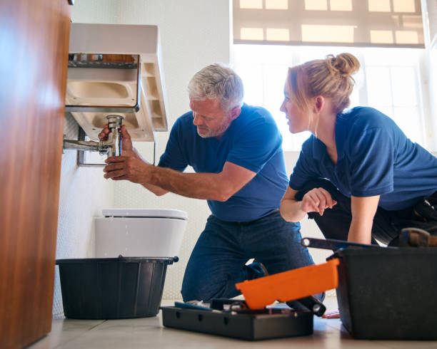 Best Residential Plumbing Services  in Hammond, IN
